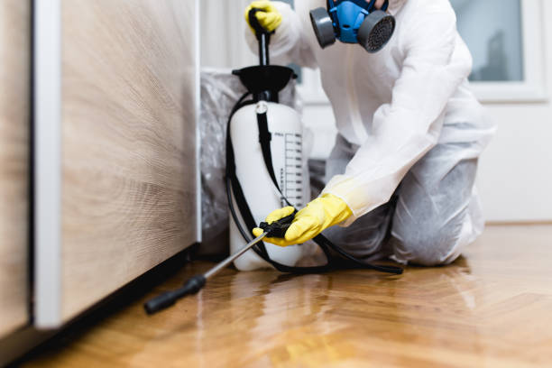 Best Affordable Pest Control Services  in Sparks, GA