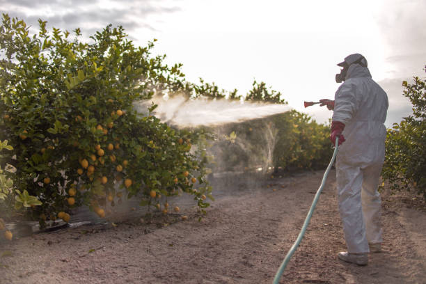 Best Ant Control Services  in Sparks, GA