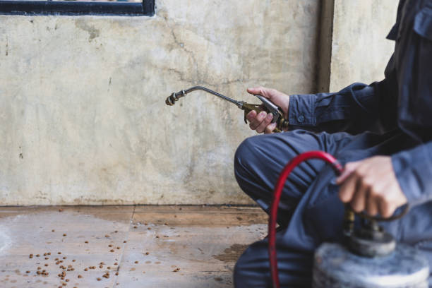 Best Pest Inspection Near Me  in Sparks, GA
